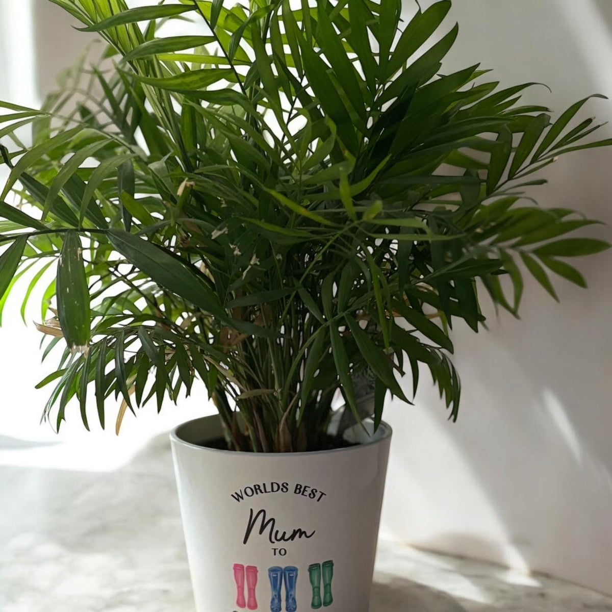 Personalised Welly Plant Pot, Custom Name Garden Gift, Birthday Gift for her or Gardener, Birthday Plant Pot