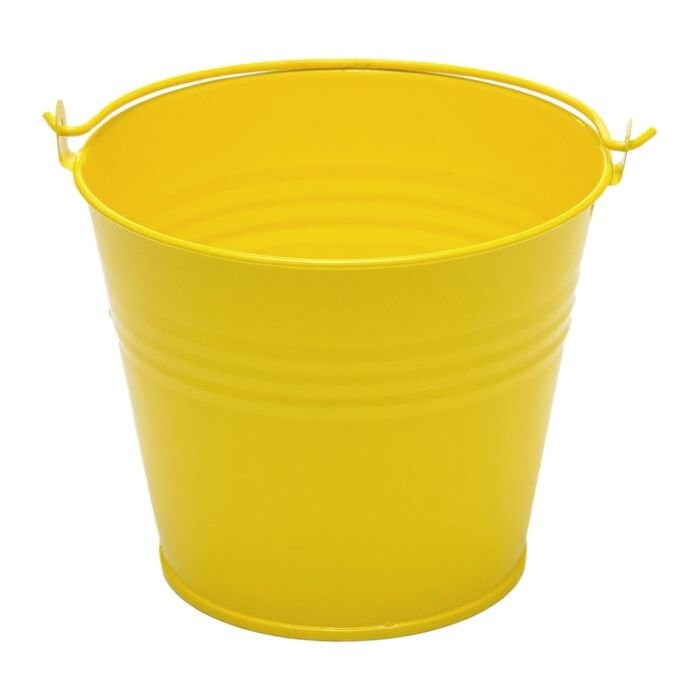 Fuck It Bucket: Novelty Adult Gag Gift, Desk Decor