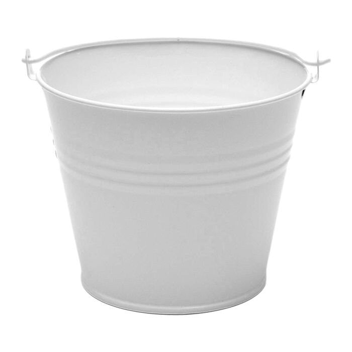 Fuck It Bucket: Novelty Adult Gag Gift, Desk Decor