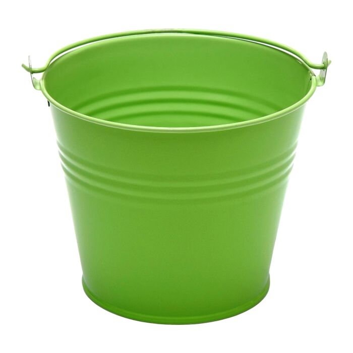 Fuck It Bucket: Novelty Adult Gag Gift, Desk Decor