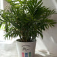 Personalised Welly Plant Pot, Custom Name Garden Gift, Birthday Gift for her or Gardener, Birthday Plant Pot